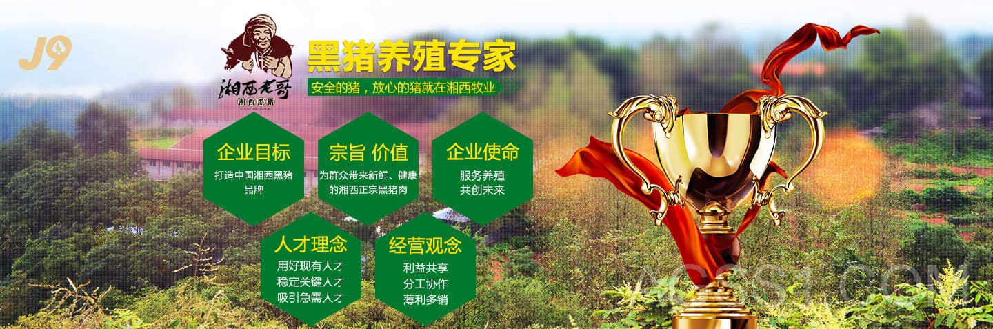 利来最老牌