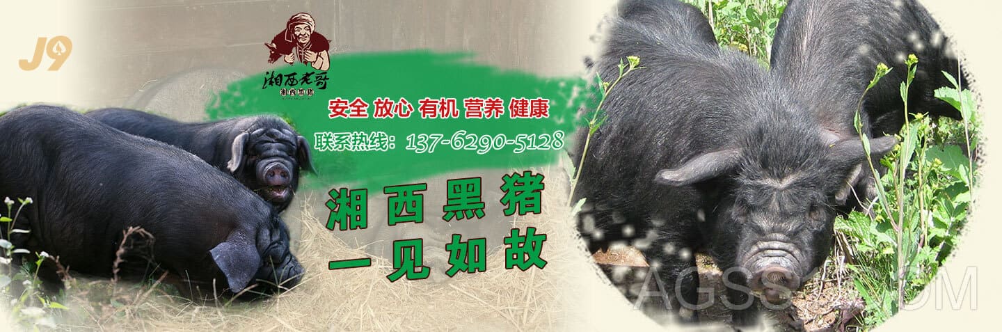 利来最老牌
