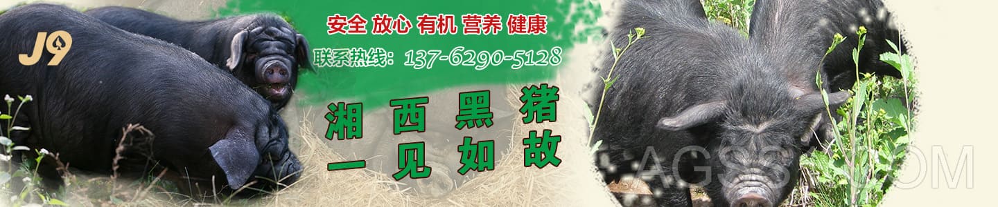 利来最老牌的资源站|在线首页入口