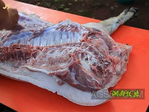 一头种公猪配多少母猪云南临沧幼耳黑猪保山黑猪奇怪猪肉云南六台甫
