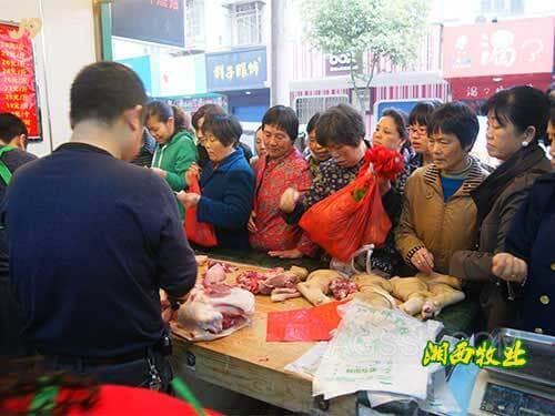 猪肉店装果图猪肉市肆门头图片大全速8连锁旅社