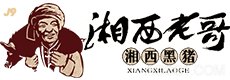 利来最老牌的资源站|在线首页入口